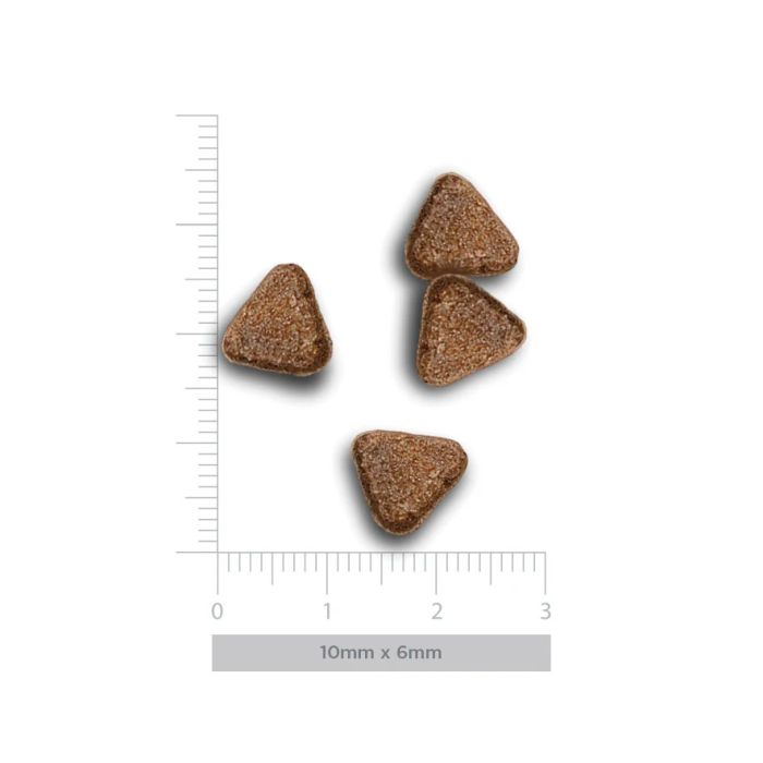 Harper & Bone Adult Mini Wild Mountain 2 kg