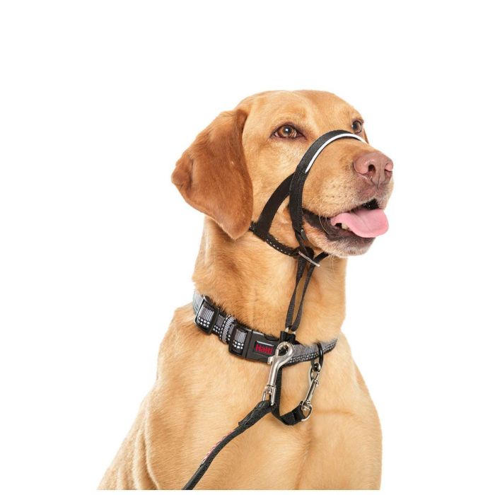 Company of Animals Halti Headcollar