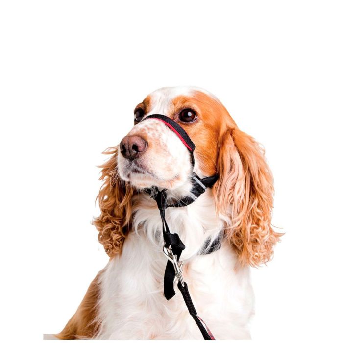 Company of Animals Halti Optifit Headcollar