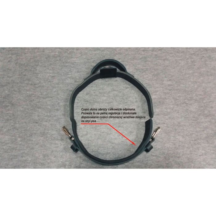Dingo Gear Collar Heros de cuero con asa 50 mm
