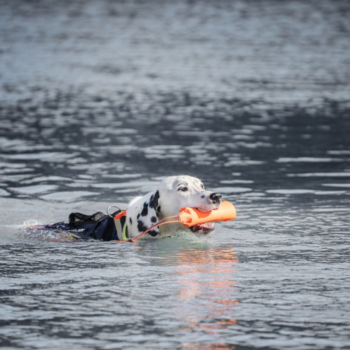 Julius-K9 Juguete acuático