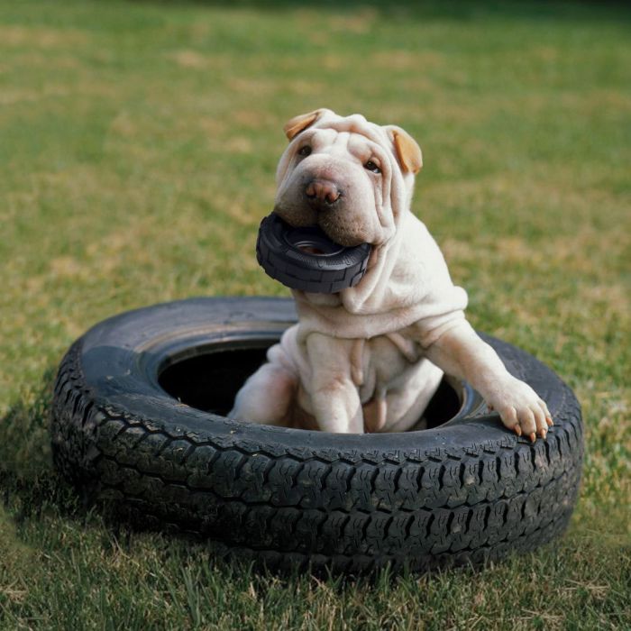 Kong Extreme Tyres