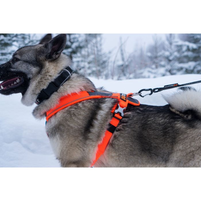 Non-stop dogwear Line Harness naranja