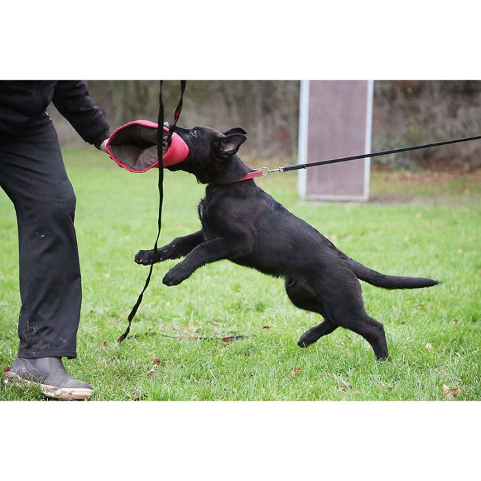 ABC Manga de tela francesa para cachorros