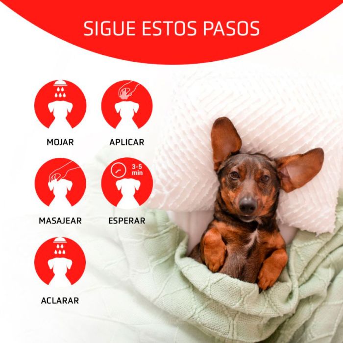Artero Mascarilla Scarlet Vital 100 ml
