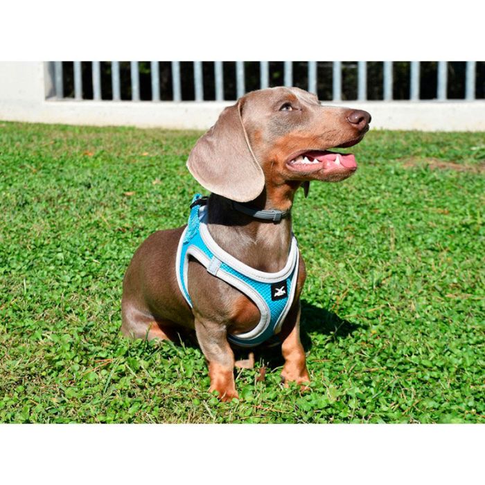Nayeco Arnes X-TRM Neo azul
