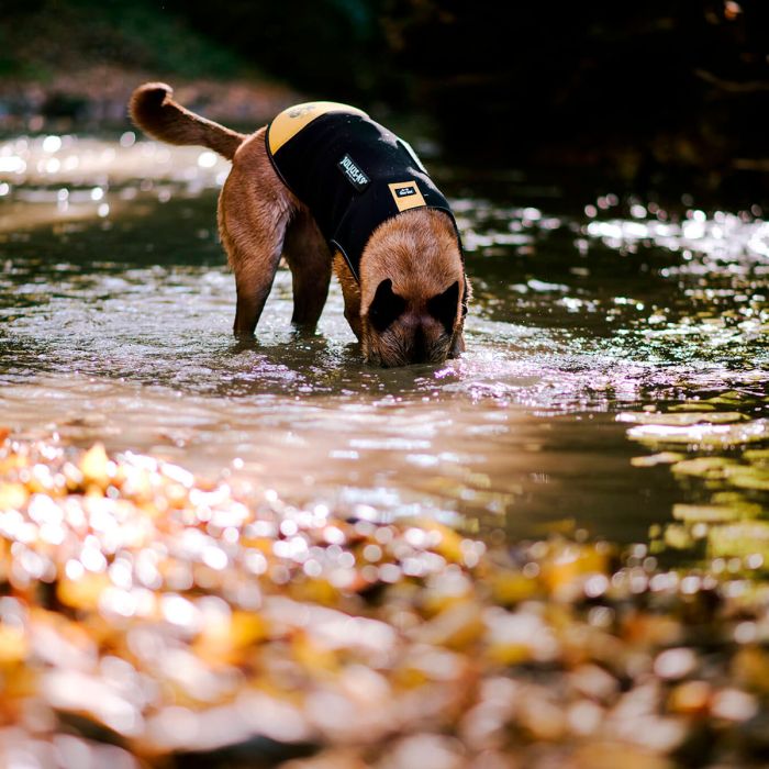 Julius-K9 Chaqueta IDC de neopreno