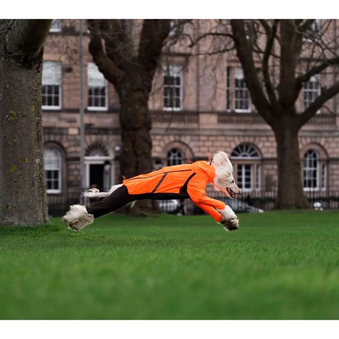 Non-stop dogwear Fjord overall raincoat