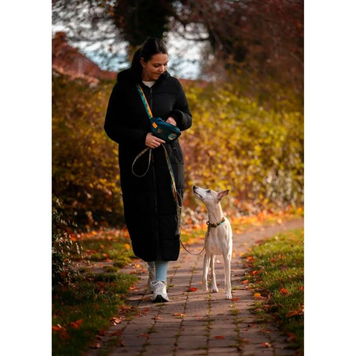 Non-stop dogwear Trail Quest Fanny Pack Rachel Pohl edition roble turquesa