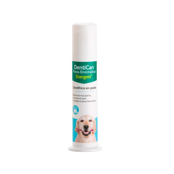 Stangest Kit dental Dentican