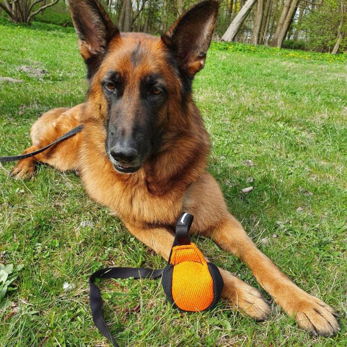 Dingo Gear Pelota de tela francesa 9 cm con cuerda