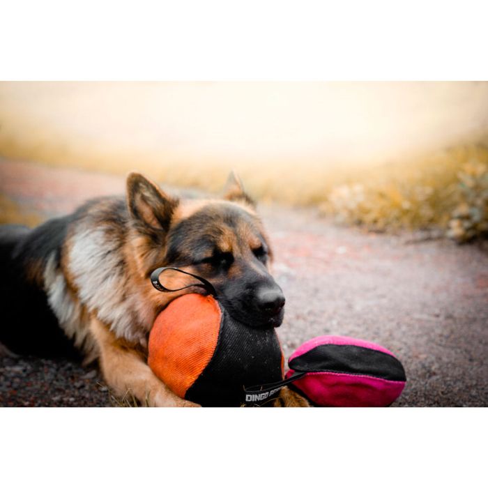 Dingo Gear Pelota de tela francesa 16 cm con asa