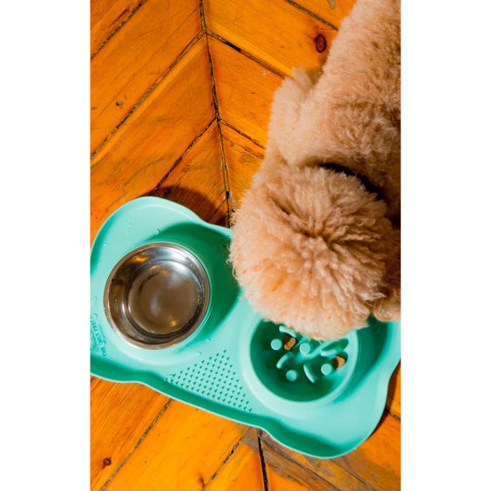 Onlyfresh Dinner Set comedero doble lento y cuenco