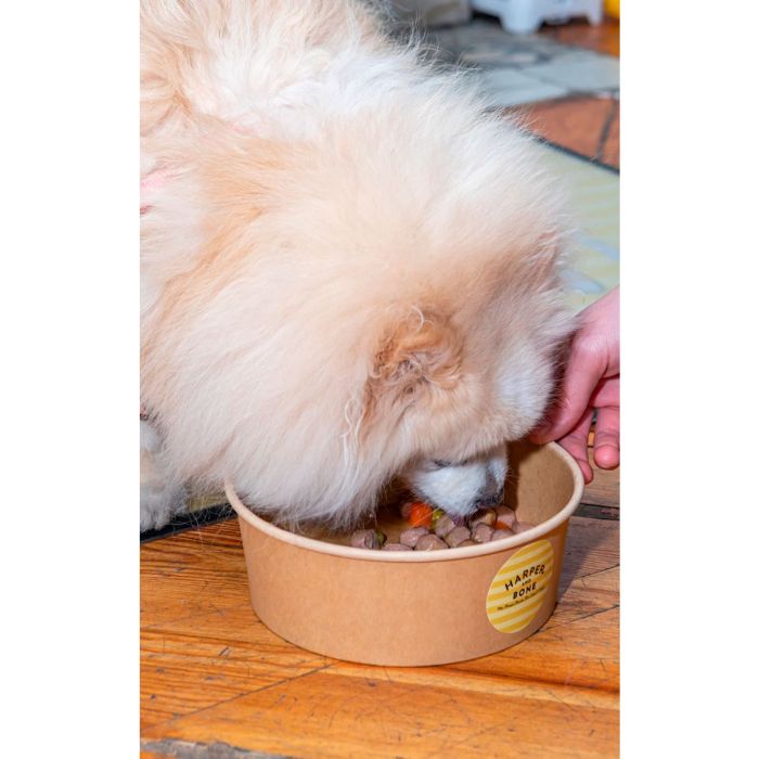 Harper & Bone Albóndigas para perros Wild Mountain 300 g