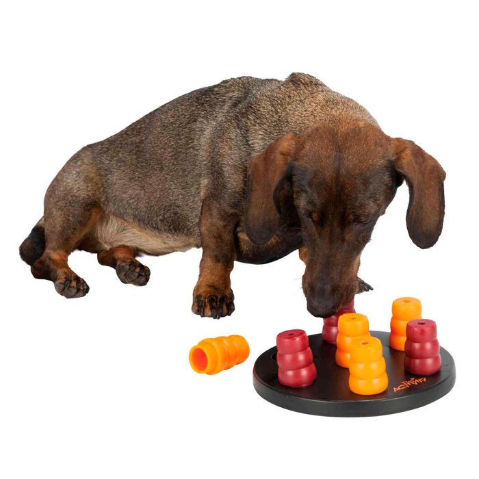 Trixie Dog Activity Mini Solitaire - Nivel 1 - 20 cm