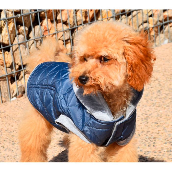 Nayeco Sudadera Pilot azul con capucha