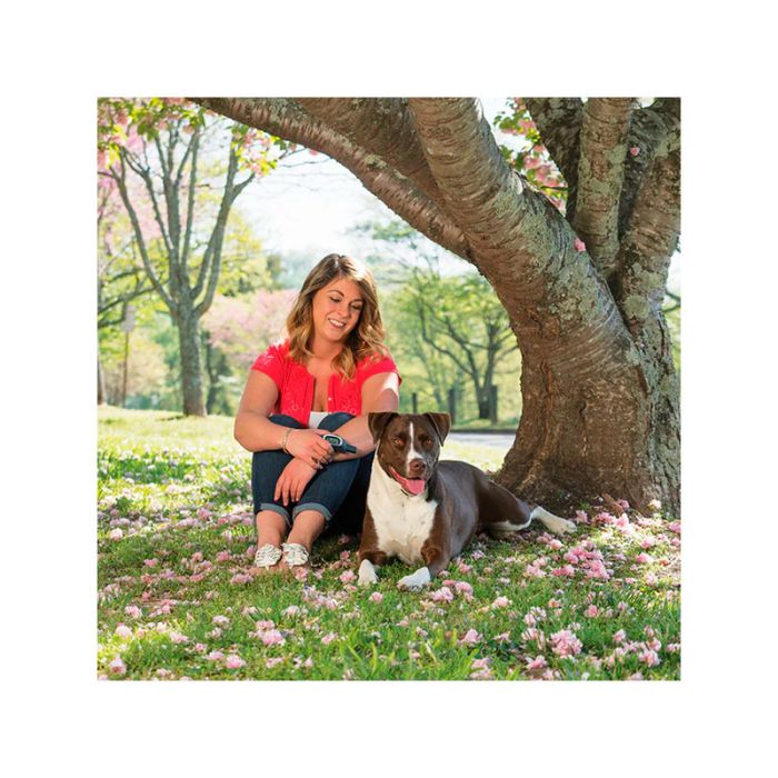 PetSafe Sistema de adiestramiento 100 m