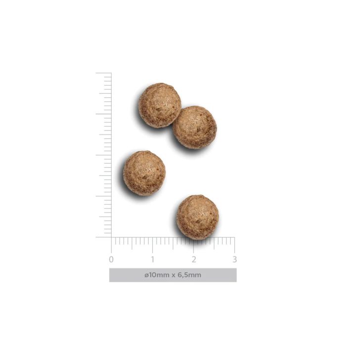 Harper & Bone Adult Mini Flavours Of The Farm