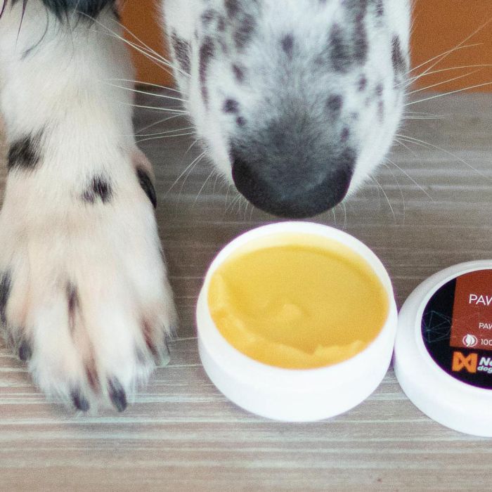 Non-stop dogwear Paw care 50 ml