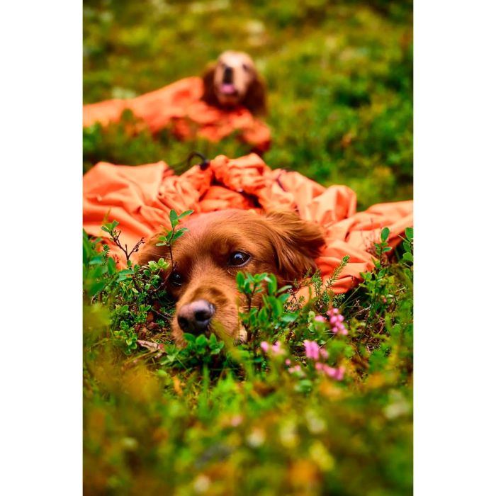 Non-stop dogwear Protector bivvy bag