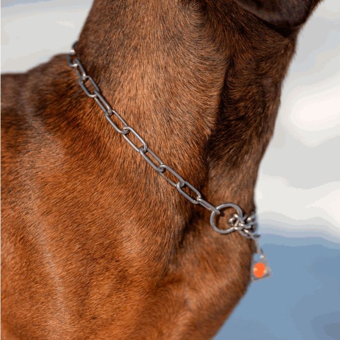 HS Sprenger Collar eslabon largo con restricción de acero inoxidable 2 mm