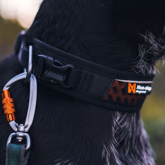Non-stop dogwear Collar Rock ajustable
