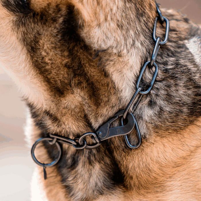 HS Sprenger Collar eslabón ajustable de acero inoxidable negro 4 mm