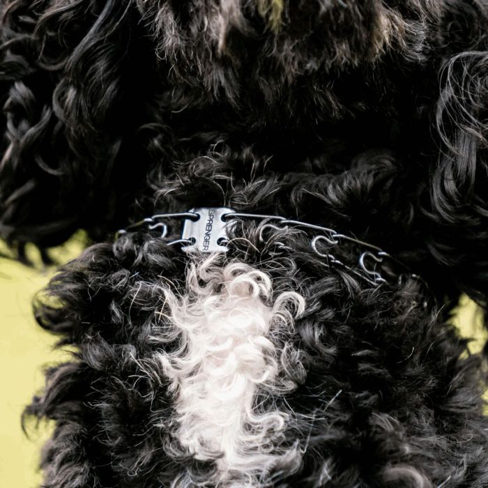 HS Sprenger Collar Ultra-Plus Micro Prong acero inoxidable negro giratorio 1,5 mm x 32 cm
