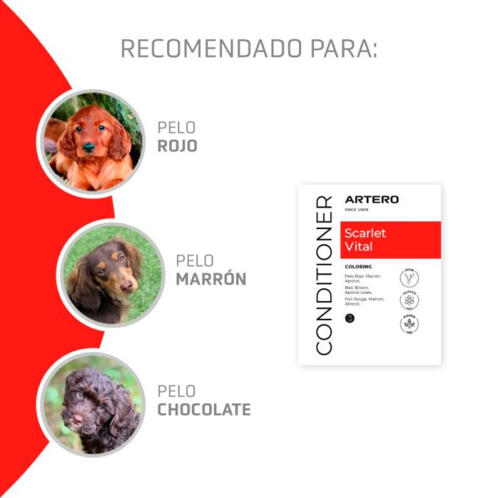 Artero Mascarilla Scarlet Vital 100 ml