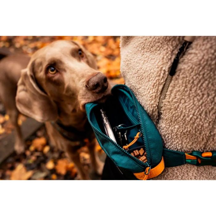 Non-stop dogwear Trail Quest Fanny Pack Rachel Pohl edition roble turquesa