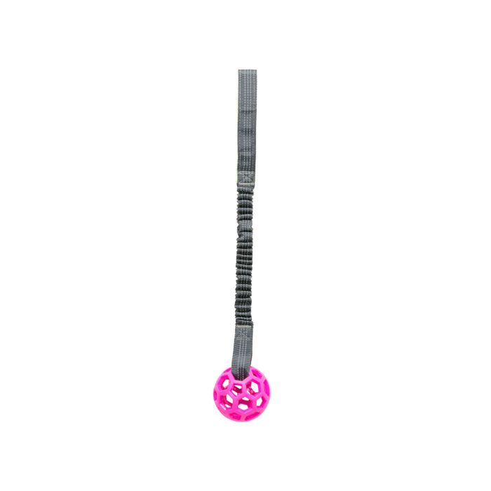 Trixie Pelota panal con bungee