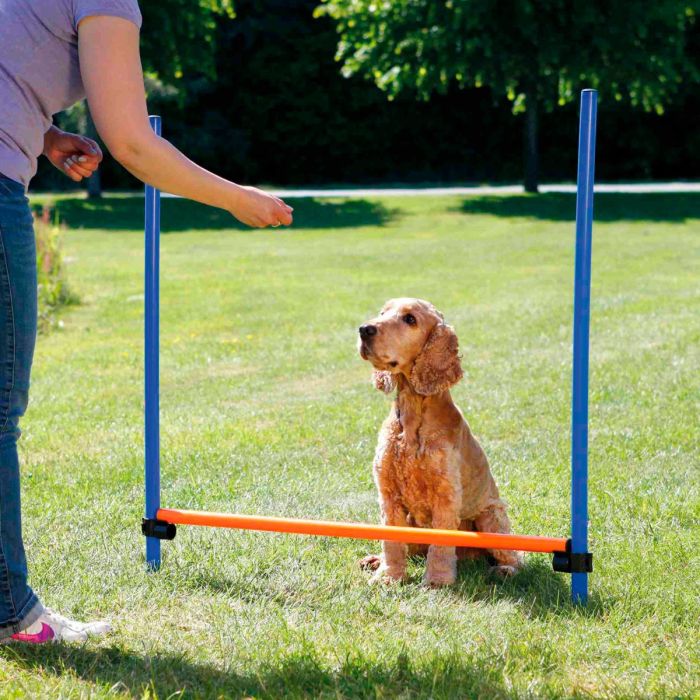 Trixie Valla para agility