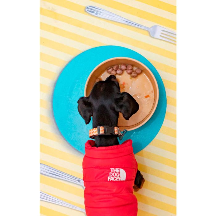 Harper & Bone Albóndigas para perros Wild Mountain 300 g