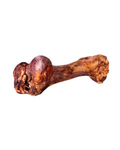 Quibro Hueso de mamut 1 kg