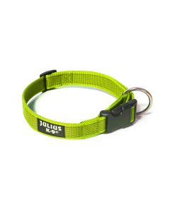 Julius-K9 Collar color & gray neon