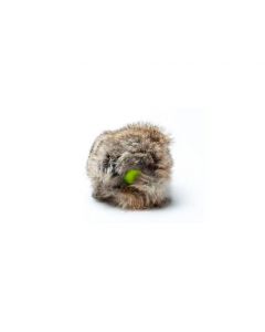 Sporthund Pelota de tenis Mystique con funda de conejo