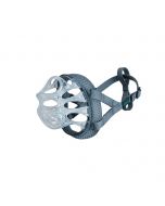 Bozal de cesta transparente Baskerville Invisa y un perro border collie llevándolo puesto de forma cómoda.