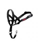 Company of Animals Halti Headcollar