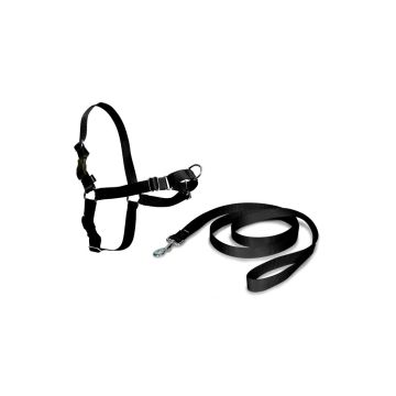 Conjunto de arnés anti-tirones Nayeco Easy Walk de color negro con su correa de nylon a juego sobre un fondo blanco.