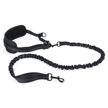 K9-EVO Jogging set compact