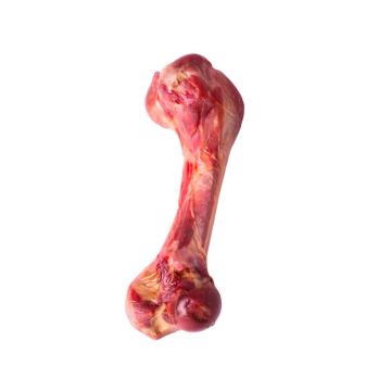 Quibro Hueso de jamón