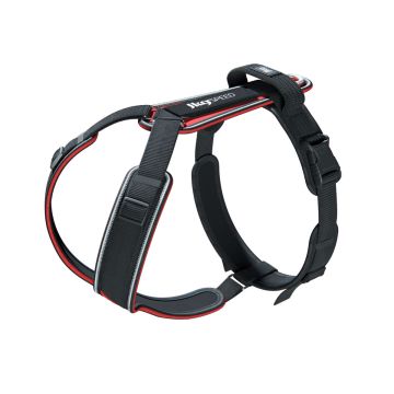 Julius-K9 Speed Harness
