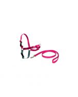 Kit de arnés anti-tirones Nayeco Easy Walk de color rosa con detalles en gris, junto a su correa de nylon a juego sobre fondo blanco.
