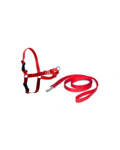 Kit de arnés anti-tirones de color rojo modelo Nayeco Easy Walk junto a su correa de nylon a juego sobre un fondo blanco.