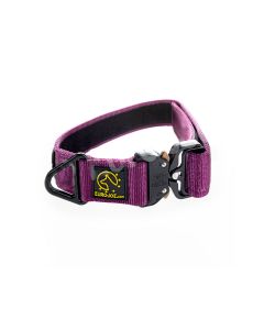 Euro Joe Collar táctico morado 38 mm
