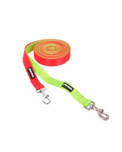Dingo Gear Juego de dos correas para entrenamiento sin asa 25 mm x 4 m